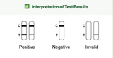 Covid Rapid Antigen Test