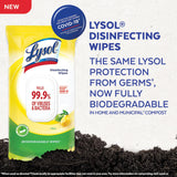Lysol Disinfecting Wipes Flat Pack (100 Count)